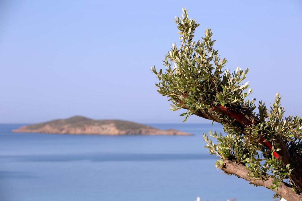 Elia Privileged Suites Andros Ανδροσ Andros Town Exterior foto